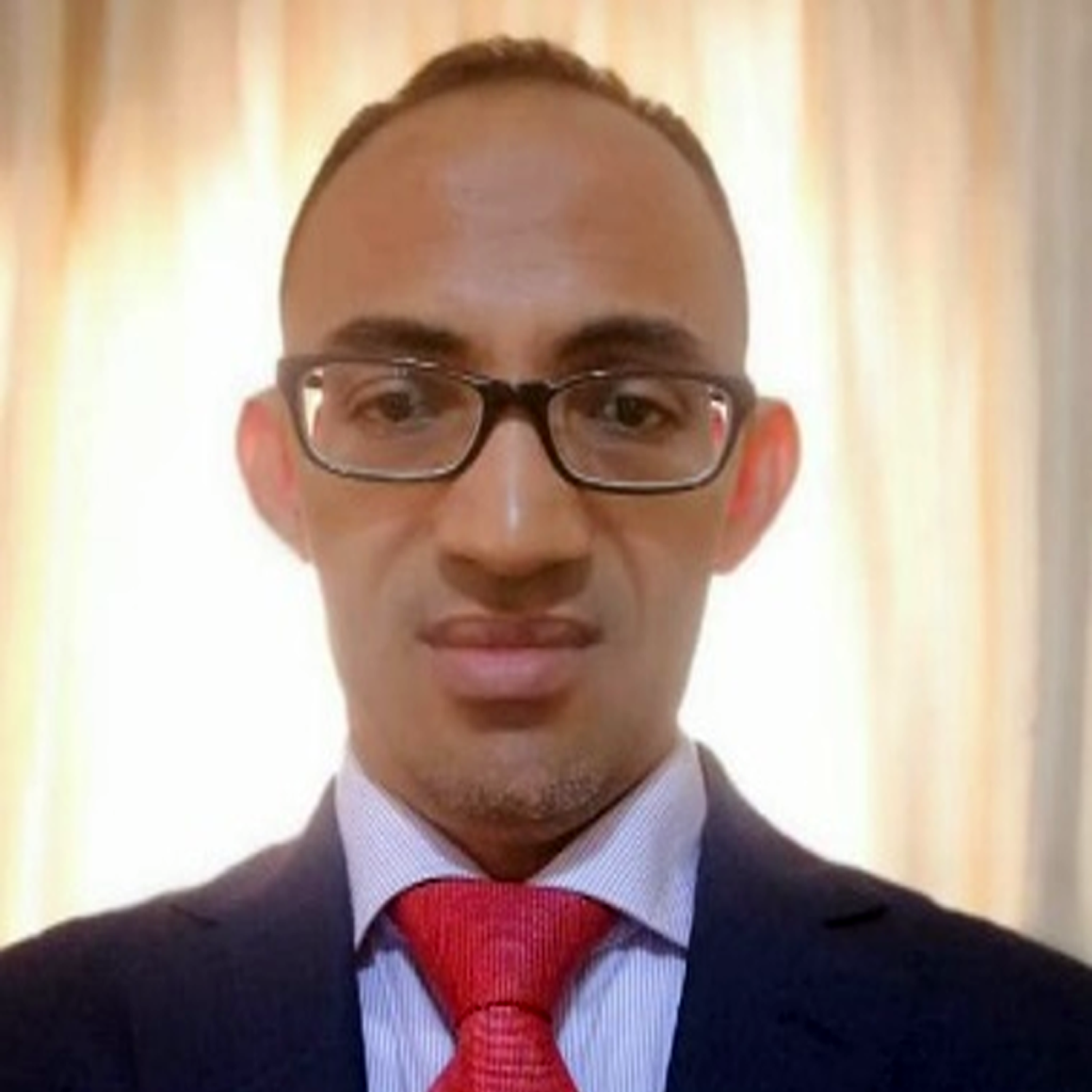 Mohamed Ahmed Mohamed Habiboullah